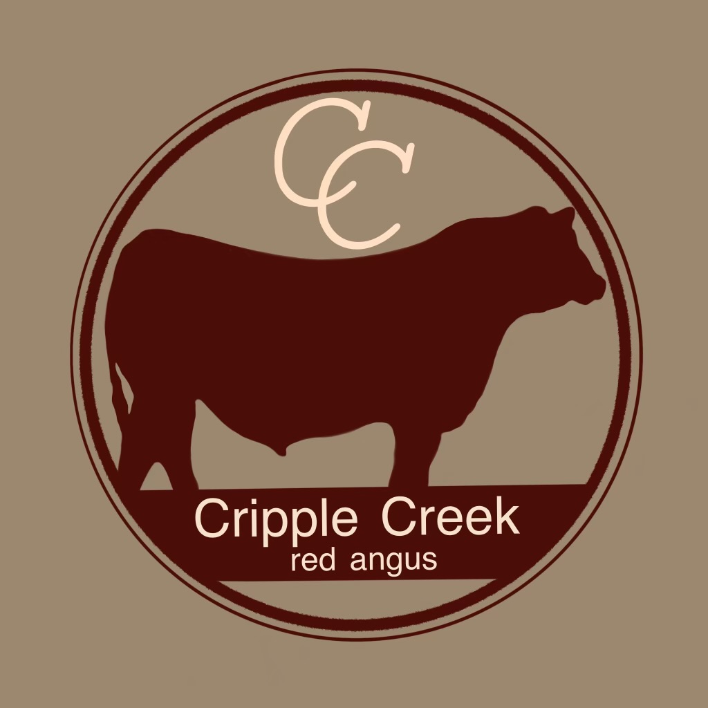Cripple Creek Red Angus